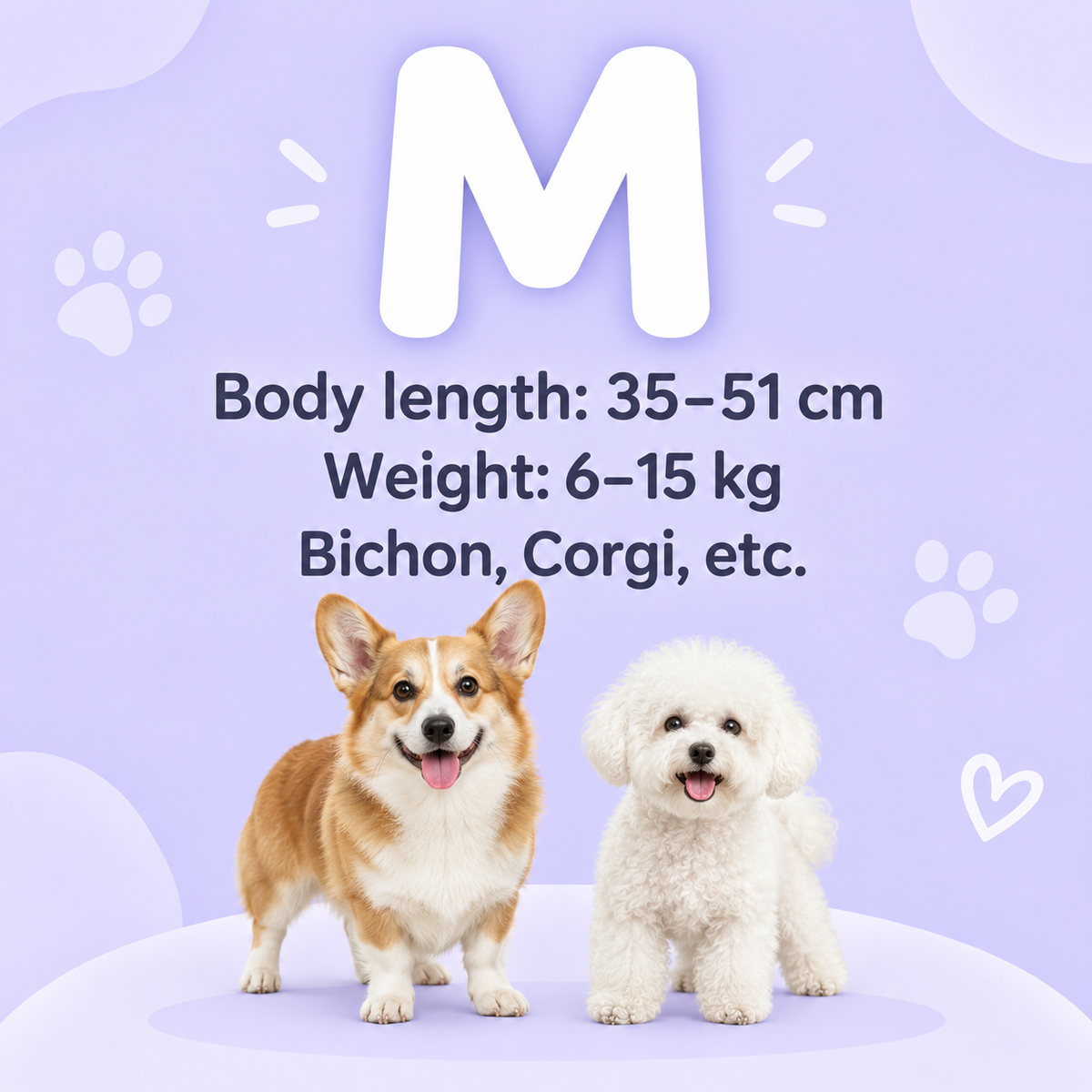 Portable Pet Drying Bag, Foldable Dog and Cat Hair Dryer Bag