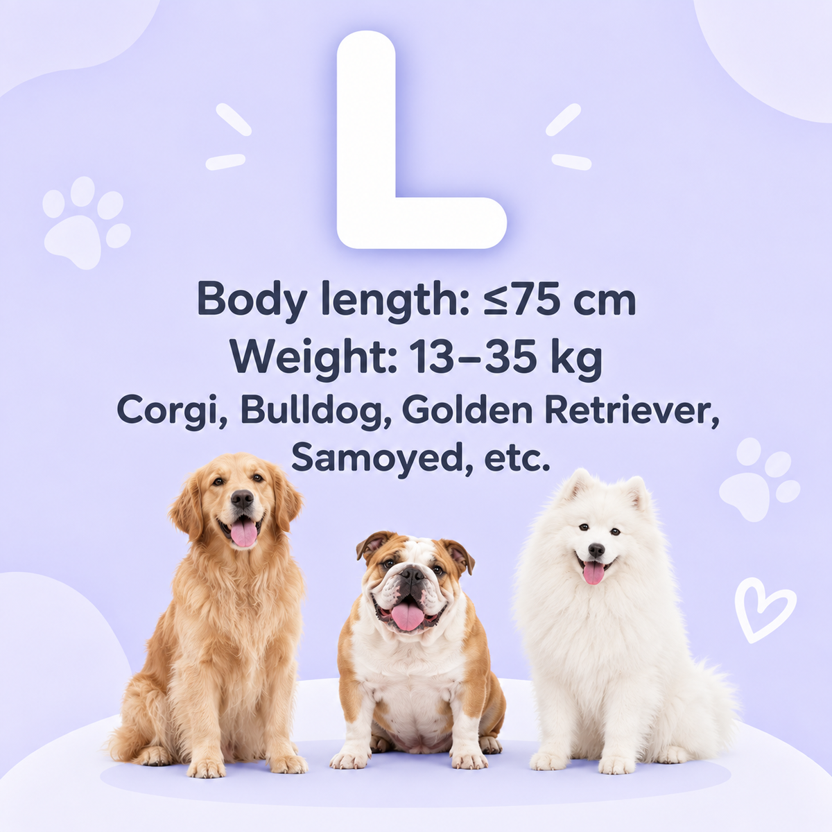 Portable Pet Drying Bag, Foldable Dog and Cat Hair Dryer Bag